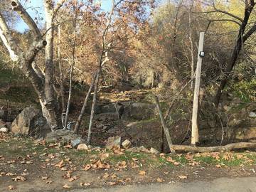 Camping for 4 Guests in Northern California, Kings Canyon National Park, Picture 4