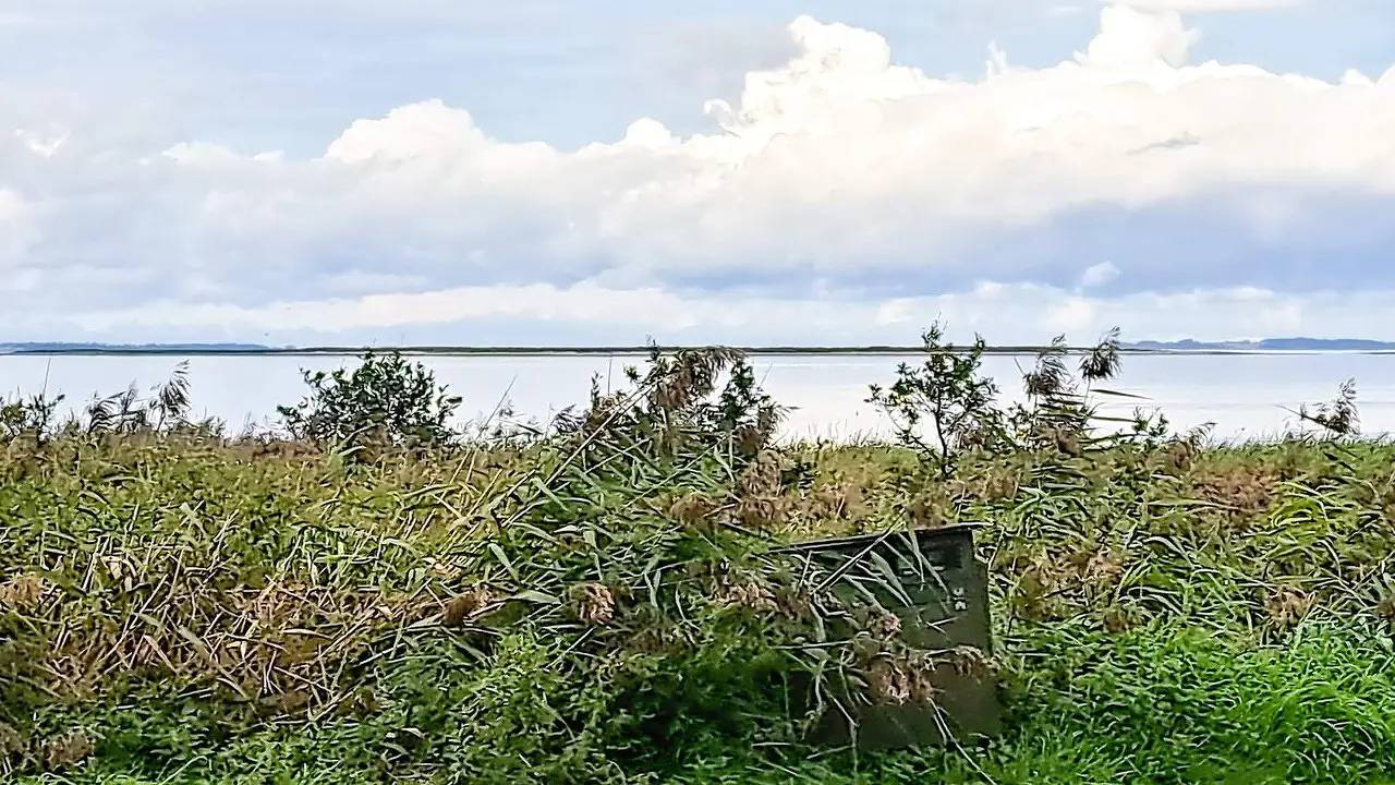 Ferienhaus für 6 Personen (82 m²) in Farsø in Hvalpsund, Farsø