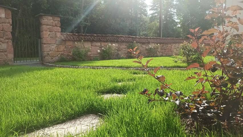 Ferienwohnung für 2 Personen in Sächsisches Burgen- und Heideland - 3