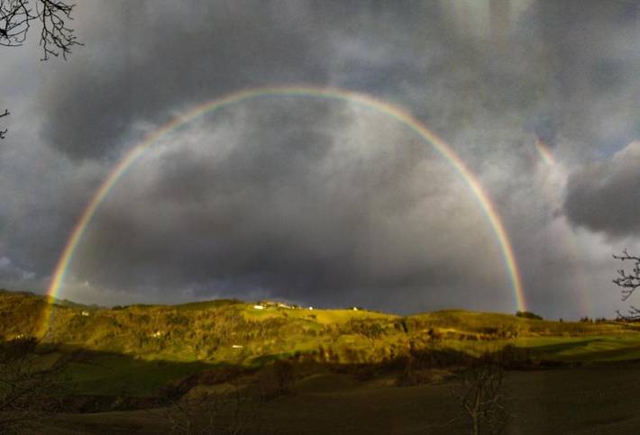 Chambre d’hôte pour 2 personnes, avec jardin et vue, animaux acceptés à Brisighella - 4