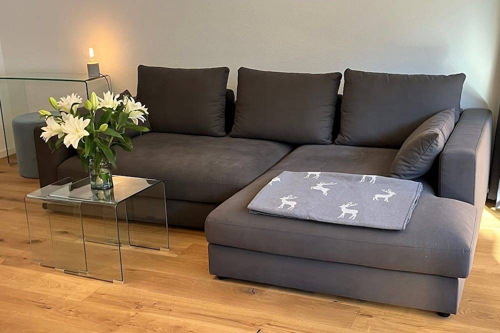 Ganze Wohnung, Furnished 2.5 Apartment in Davos Platz close to Wef in Davos Platz 1, Davos