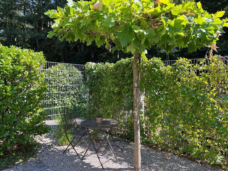 Ferienhaus am Bodensee - 5 1/2 Zimmer Ferienhaus am See, Terrasse, 165 qm in Gaienhofen, Untersee