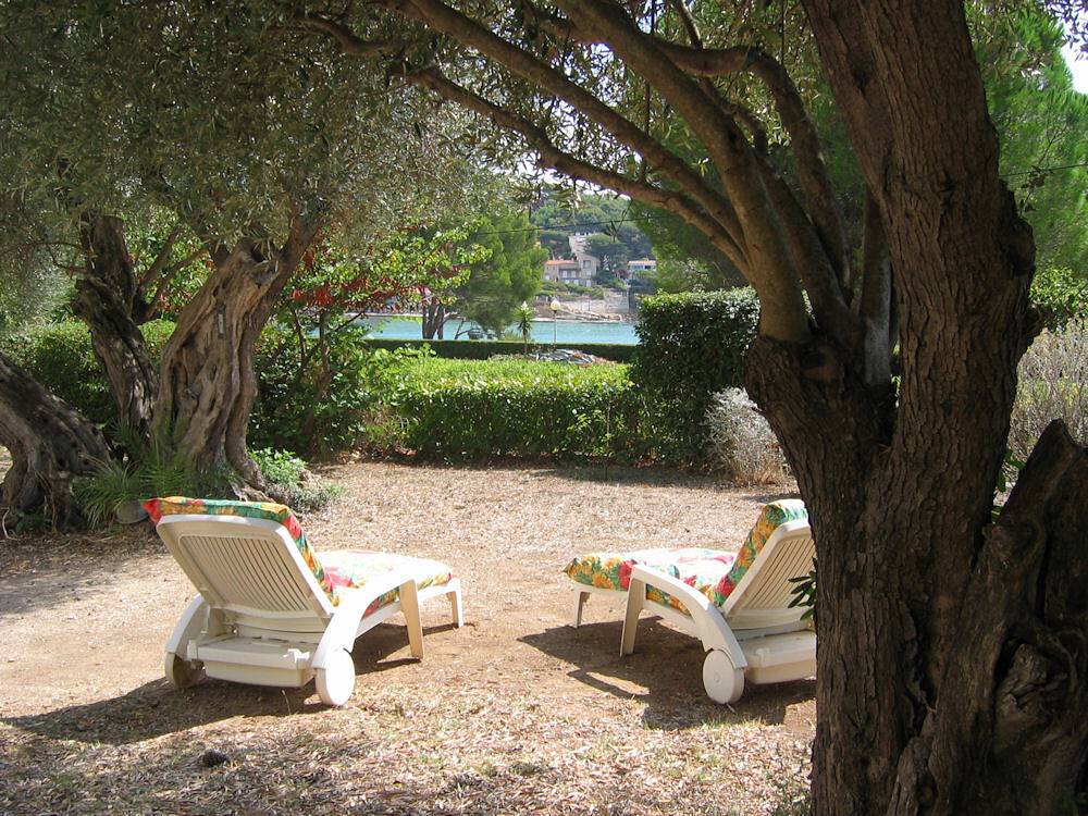 Studio entier, L'Olivaie - Studio Sanary in Sanary-sur-Mer, Région de Toulon