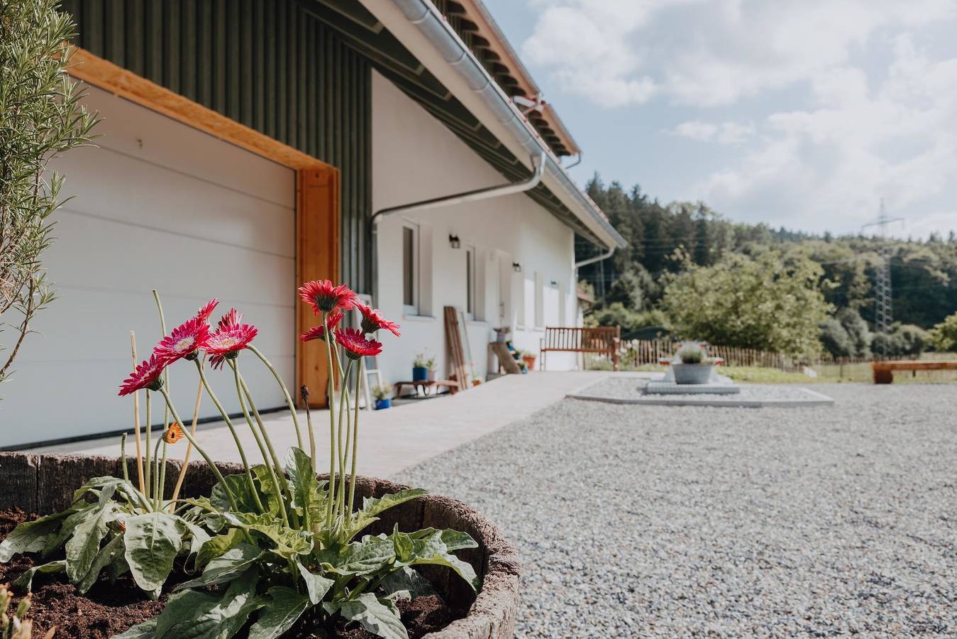 Ganze Ferienwohnung, Bodensee Apartment Neukirch Goppertsweiler  "Hase" in Neukirch, Region Bodensee-Oberschwaben