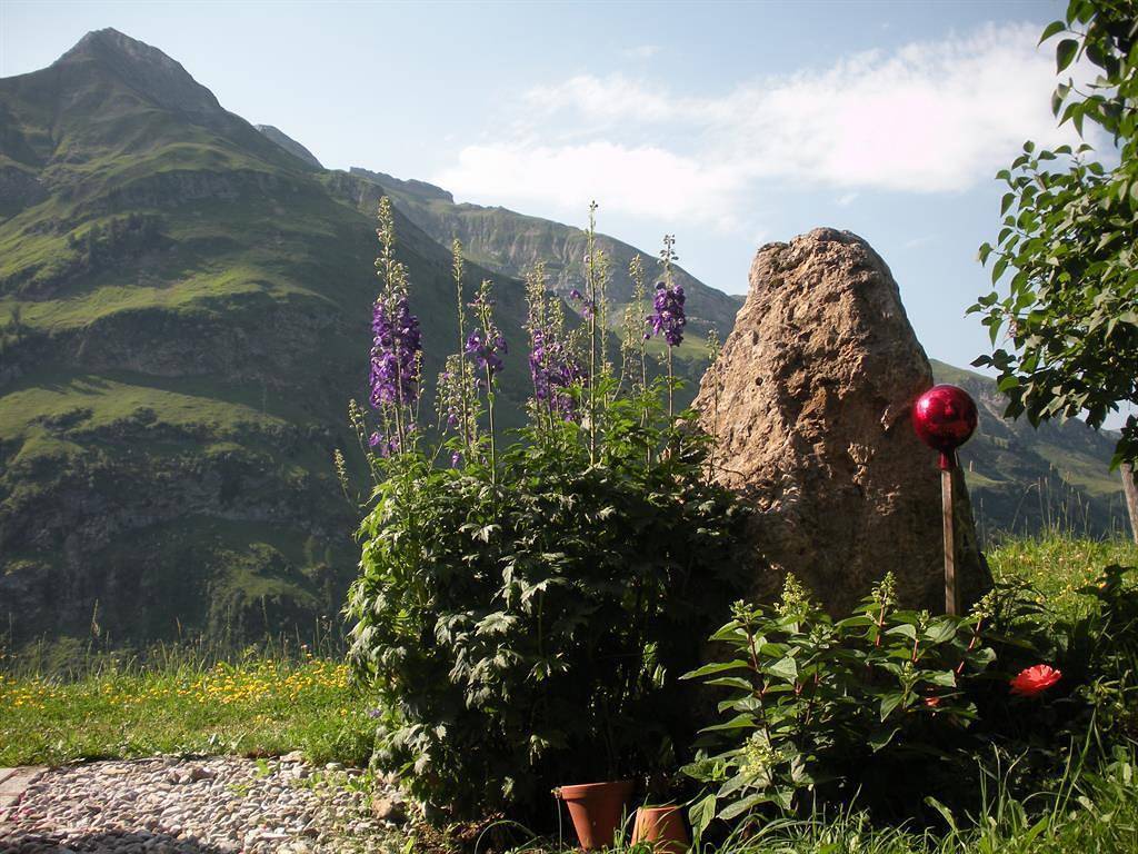 Appartement 15 in Warth, Bregenzerwald