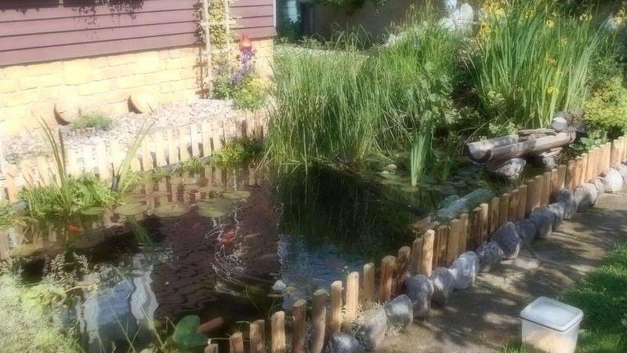 Ganze Ferienwohnung, Ferienwohnung für 3 Personen (60 m²) in Dankerode in Dankerode, Harzgerode