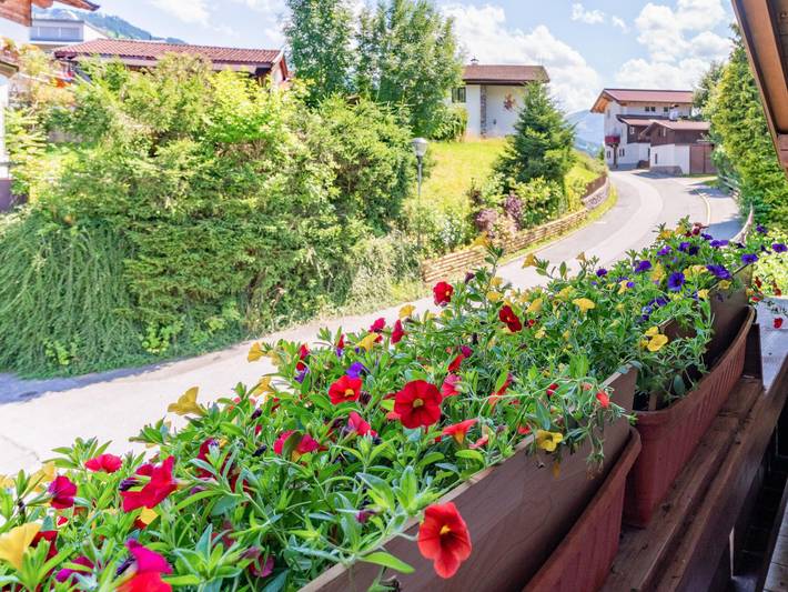 Ferienwohnung für 3 Personen, mit Terrasse, mit Haustier in Kirchberg in Tirol - 2