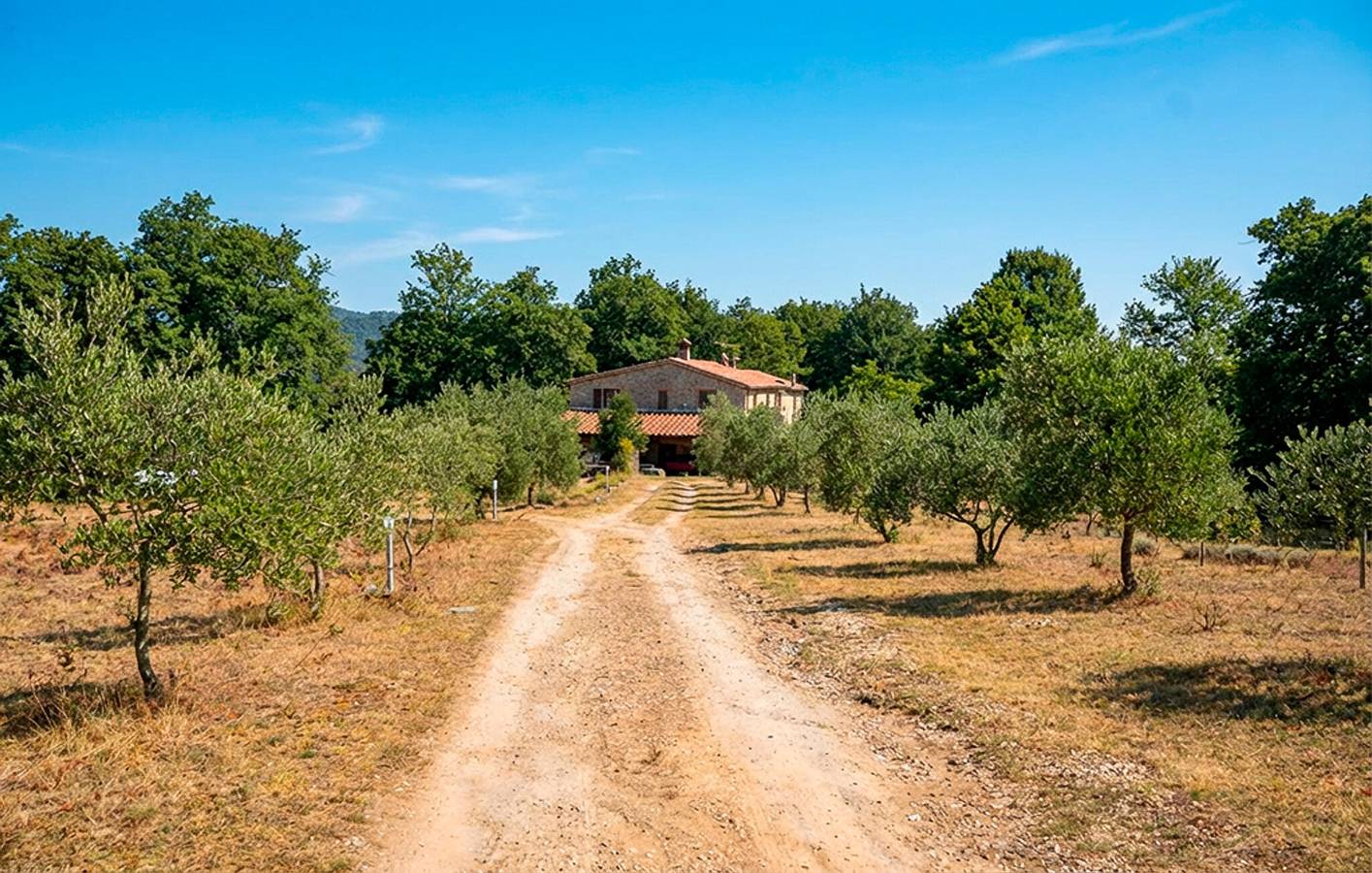 Entire holiday apartment, Riverside Garden Retreat with WiFi & Parking in Massa Marittima, Grosseto Province