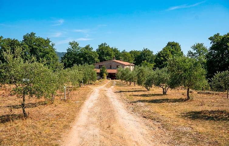 Apartamento de vacaciones para 5 personas, con jardín, Se admiten mascotas - 1