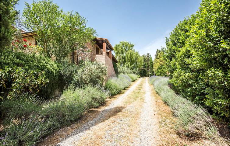 Gîte pour 5 personnes, avec terrasse ainsi que piscine et jacuzzi, animaux acceptés à Radicondoli - 4