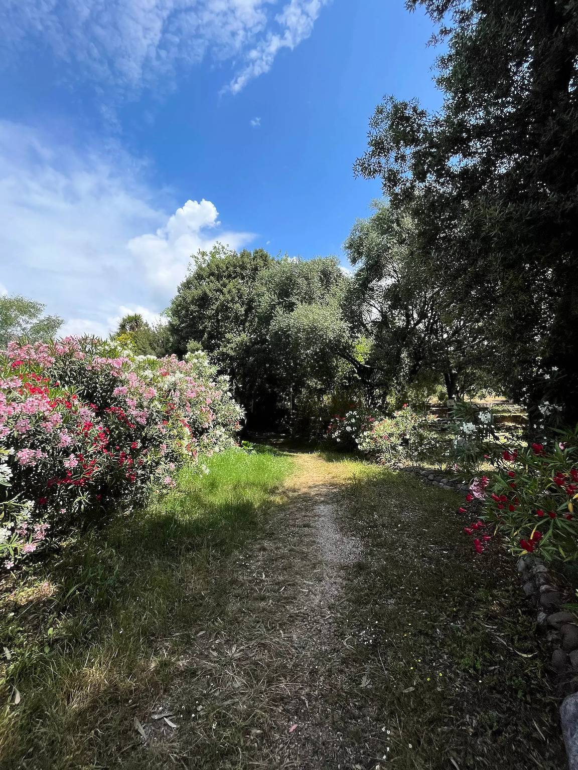 Case mobili con 3 camere da letto 6 persone in Galeria, Parco naturale regionale della Corsica