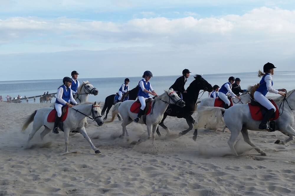 Ganze Wohnung, Ferienwohnung 3 Zwischen Wald und Meer im Haus Rosa Canina, Kornkamp 8 in Kellenhusen, Ostholstein