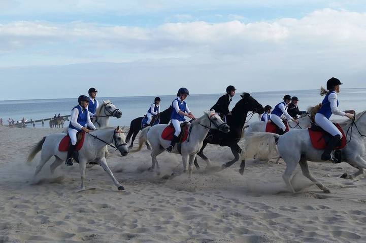 Ferienwohnung für 6 Personen in Kellenhusen