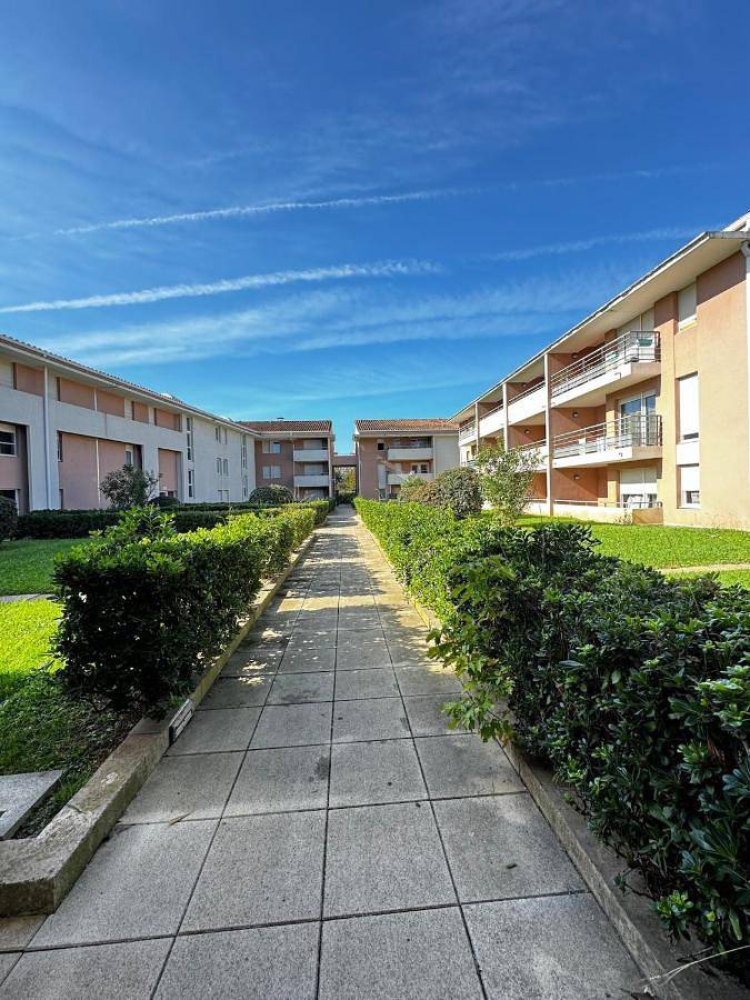 Appartement entier, Jungle Cosy - Gare - Bus - Parking gratuit - Wifi in Avignon, Vaucluse