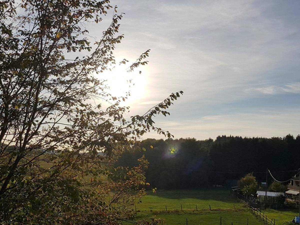 Ganze Wohnung, Ferienwohnung Krahm in Nümbrecht, Oberbergischer Kreis
