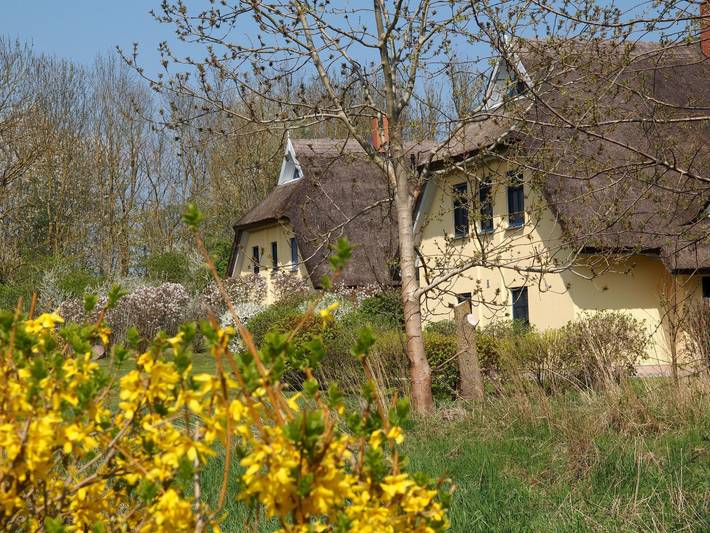 In idylischer Lage in Puddemin, Poseritz