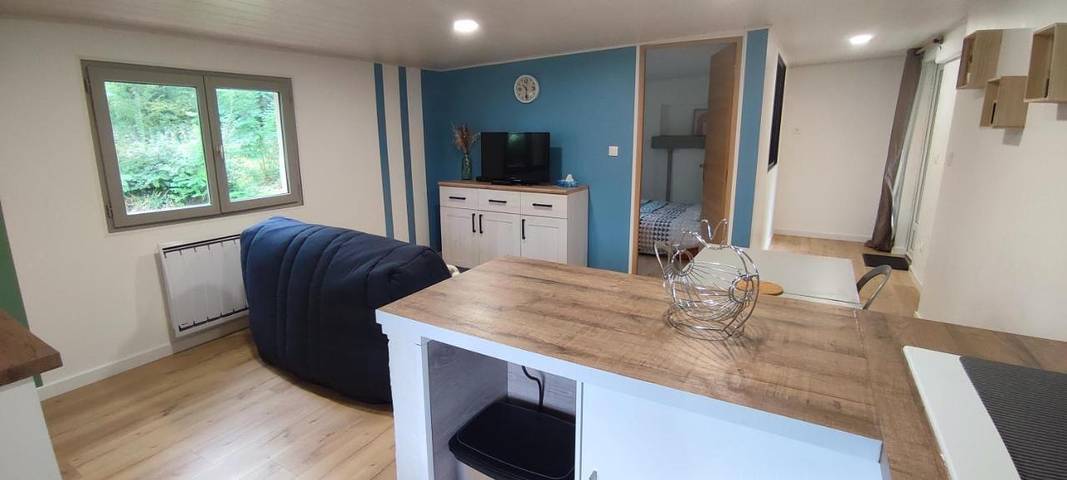 Location de vacances pour 4 personnes, avec jardin et piscine, animaux acceptés à Vernou-sur-Brenne - 2