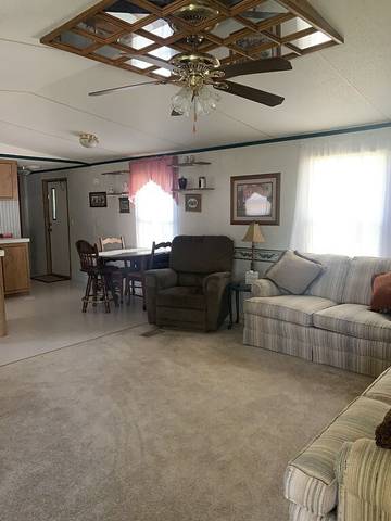 Camping for 6 Guests in Ozark Mountains, Oklahoma, Picture 4