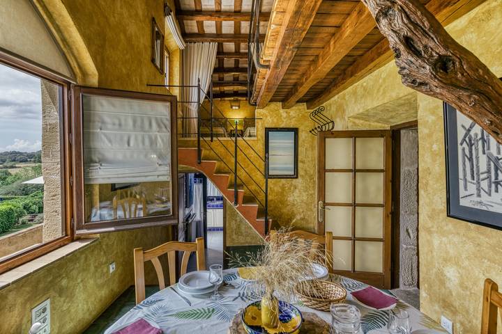 Country House 'El Mirador Rural De Can Gat Vell' with Mountain View, Wi-Fi and Air Conditioning in Llampaies, Saus, Camallera i Llampaies