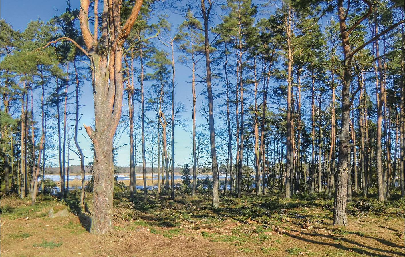 Hus för 6 Personer med trädgård in Småland