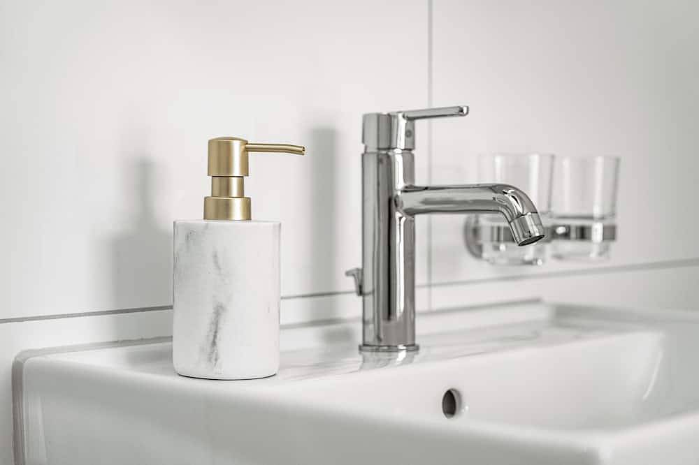 Ganze Wohnung, Bodensee Apartment mit Dachterrasse in Kreuzlingen, Bodensee (Schweiz)