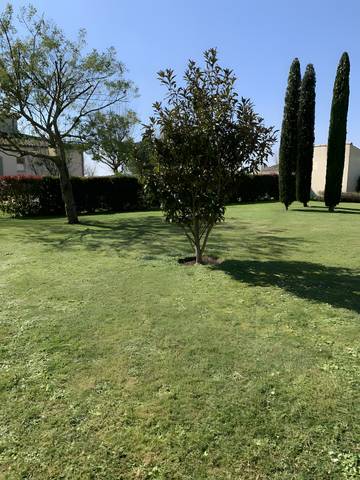 Maison De Vacances pour 5 Personnes dans Boutenac-Touvent, Région de Saintes, Photo 4