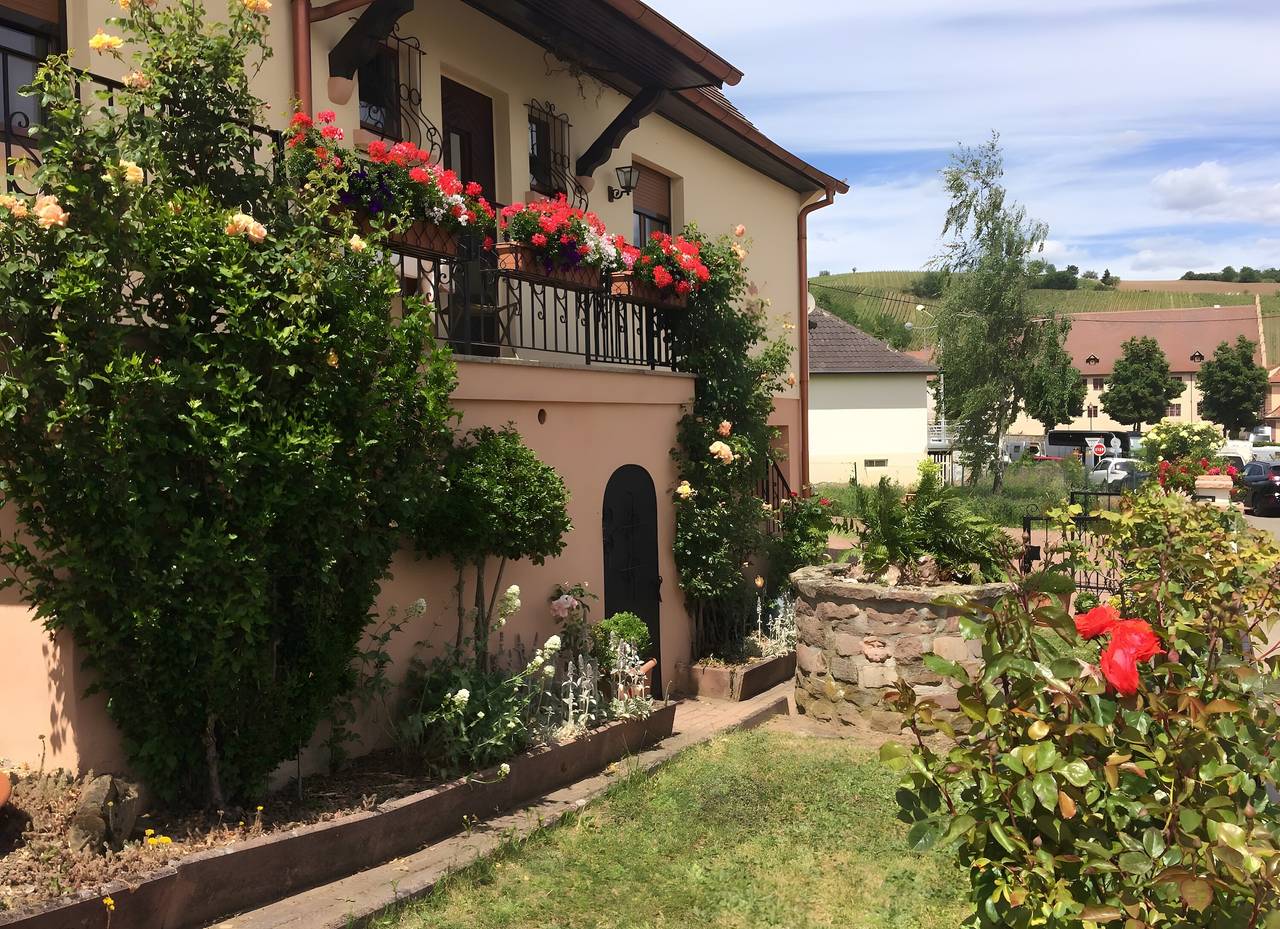Gîte Le Mandlé in Riquewihr – 3-Star Holiday Home in the Heart of Alsace Vineyards in Riquewihr, Parc naturel régional des Ballons des Vosges