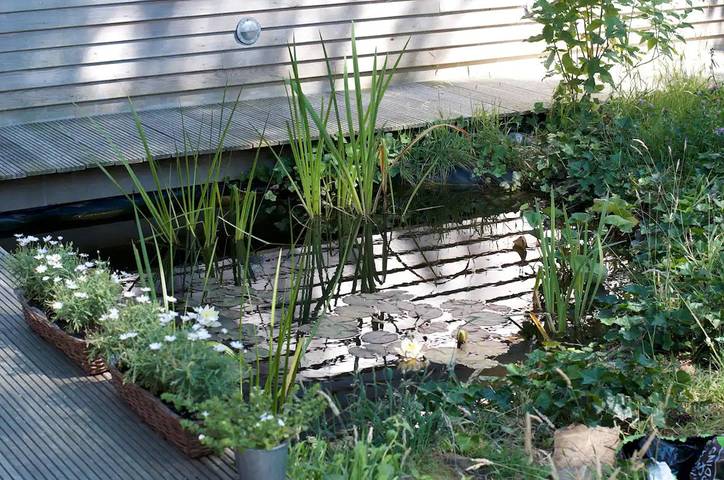 Gîte pour 4 personnes, avec jardin et terrasse dans Golf des Pins (Hardelot-Plage) - 3