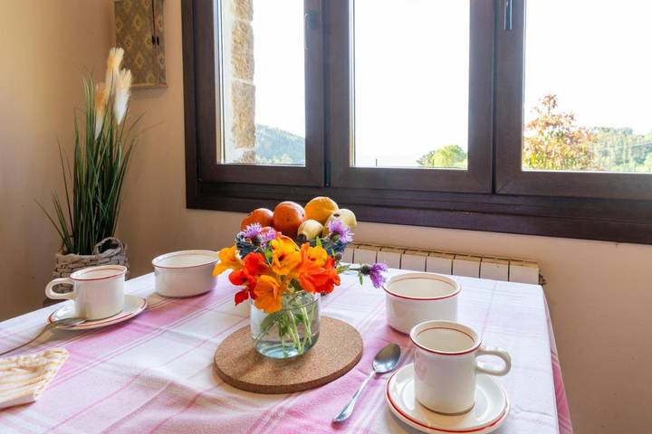 Casa de vacaciones para 8 personas, con terraza además de jardín y vistas, Se admiten mascotas en Asturias - 4