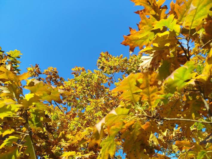 Chambre d’hôte pour 6 personnes, avec jardin et vue, animaux acceptés dans les Pyrénées-Orientales - 3