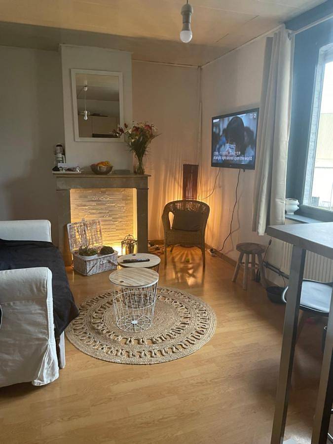 Appartement de vacances entier, Appartement privatif cozy Euratechnologies in Lomme, Lille