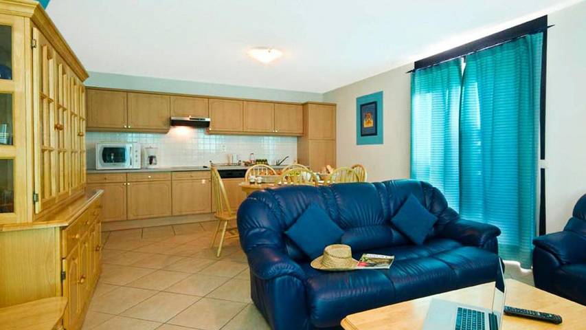 Location de vacances pour 6 personnes, avec jardin ainsi que jacuzzi et piscine, animaux acceptés à Vidauban - 3