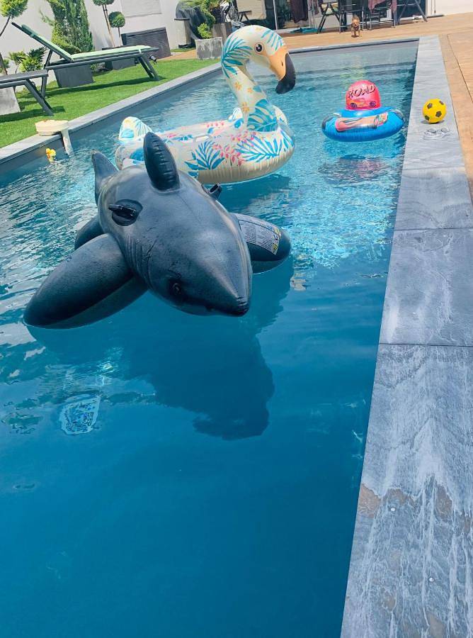 Location de vacances pour 8 personnes, avec piscine ainsi que jardin et jacuzzi à Saint-Jean-d'Illac - 3