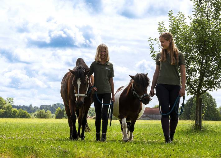 Bauernhaus für 6 Personen, mit Sauna und Garten, kinderfreundlich in Landkreis Rosenheim - 3