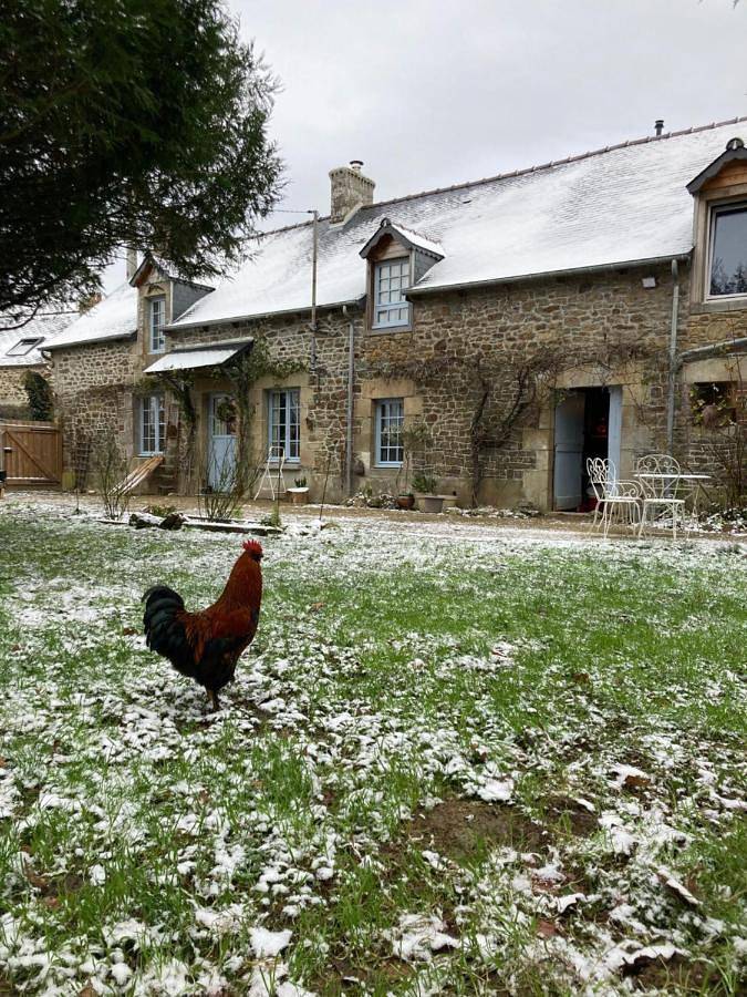 Gîte pour 2 personnes, avec vue et jardin, animaux acceptés à Tramain - 3