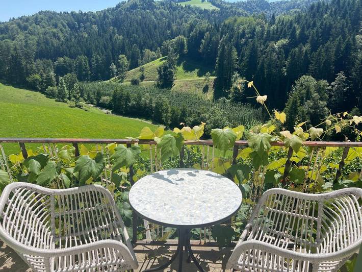 Ganze Wohnung, Apartment Weingut Kleinmonte mit Bergblick in Leutschach an der Weinstraße, Steirerland