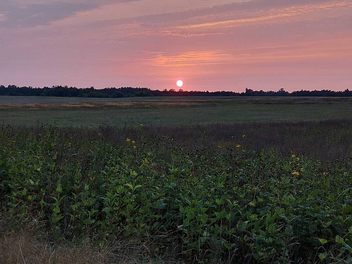 Ferienhaus für 6 Personen, mit Ausblick und Garten sowie Terrasse an der Müritz