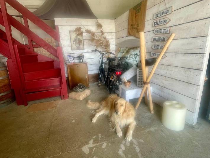 Chambre d’hôte pour 4 personnes, avec jacuzzi ainsi que jardin et piscine dans l' Hérault - 4