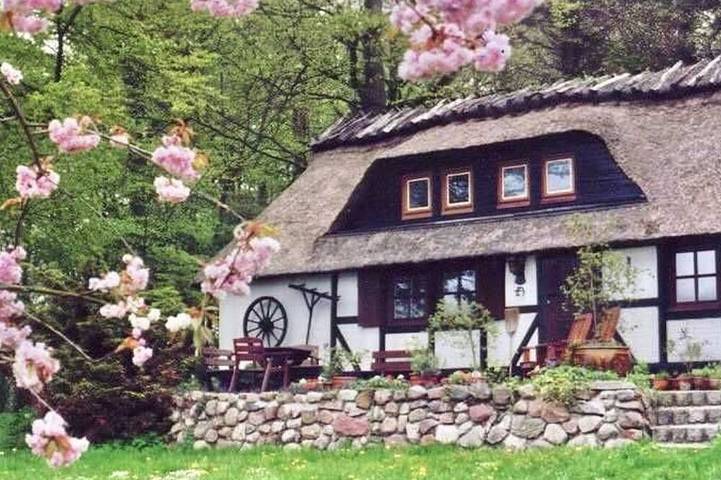 Ferienhaus für 5 Personen, mit Terrasse und Garten, mit Haustier - 1