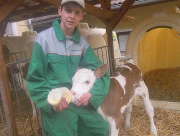 Bauernhof für 5 Personen in Eichberg, Steirerland, Bild 2