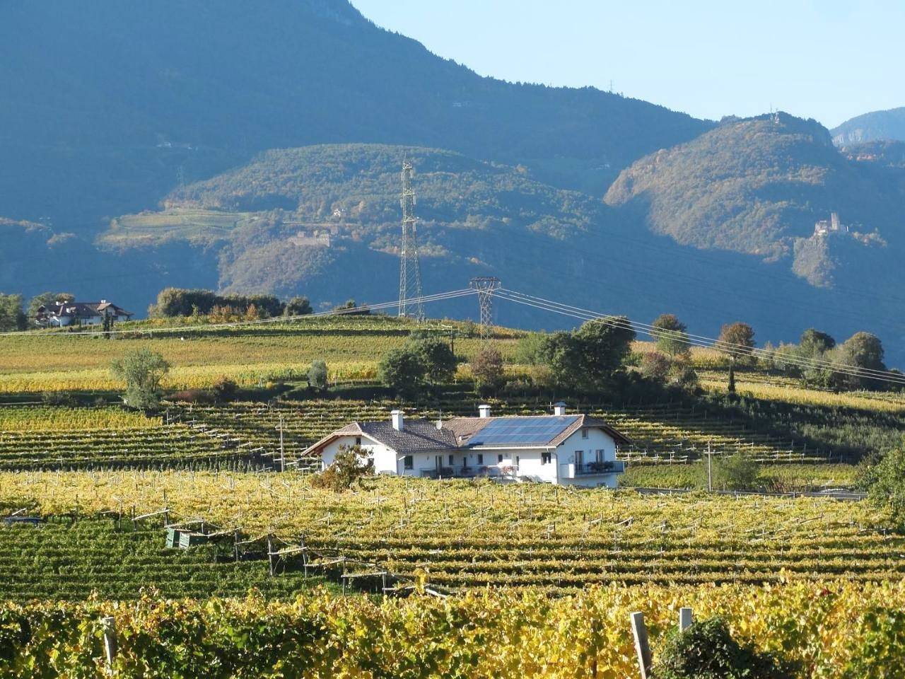 Ganze Wohnung, Fasslhof in Girlan, Eppan an der Weinstraße