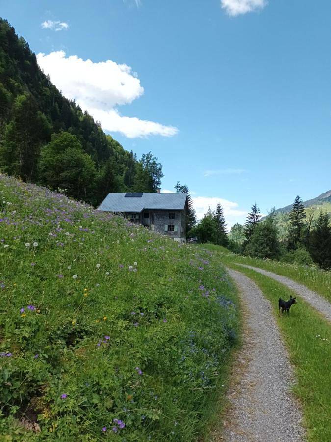 Ferienhütte See 4 in Sonntag, Lechquellengebirge