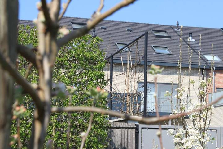 Location de vacances pour 2 personnes, avec vue et terrasse à Tongres - 2