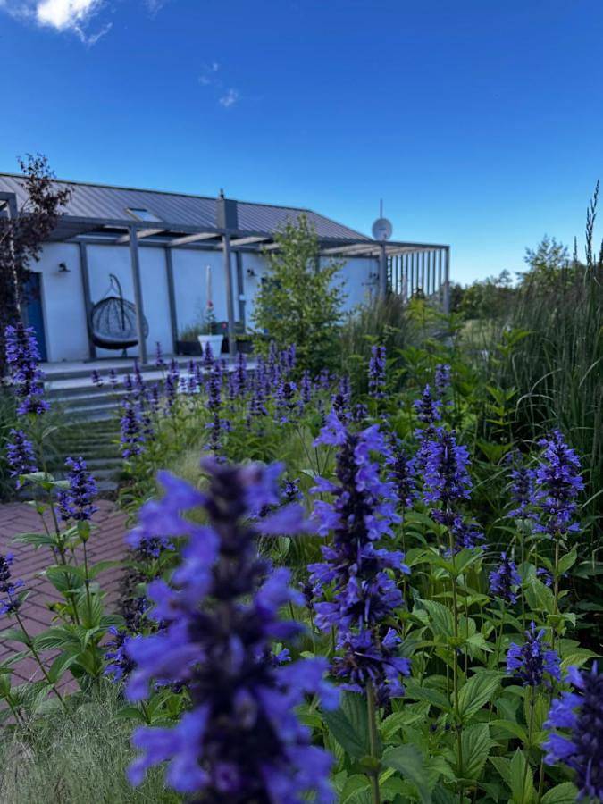 Dom dla 4 osób, z ogród i widok w Krokowa