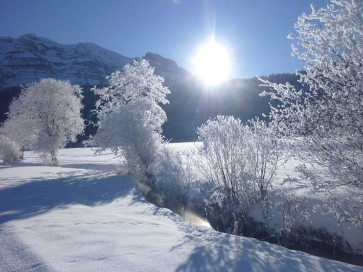 Ferienwohnung für 7 Personen, mit Garten, kinderfreundlich in Vorarlberg - 2
