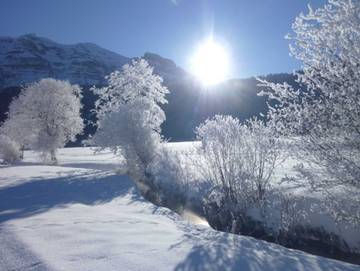Ferienwohnung für 7 Personen in Bizau, Bregenzerwald, Bild 1