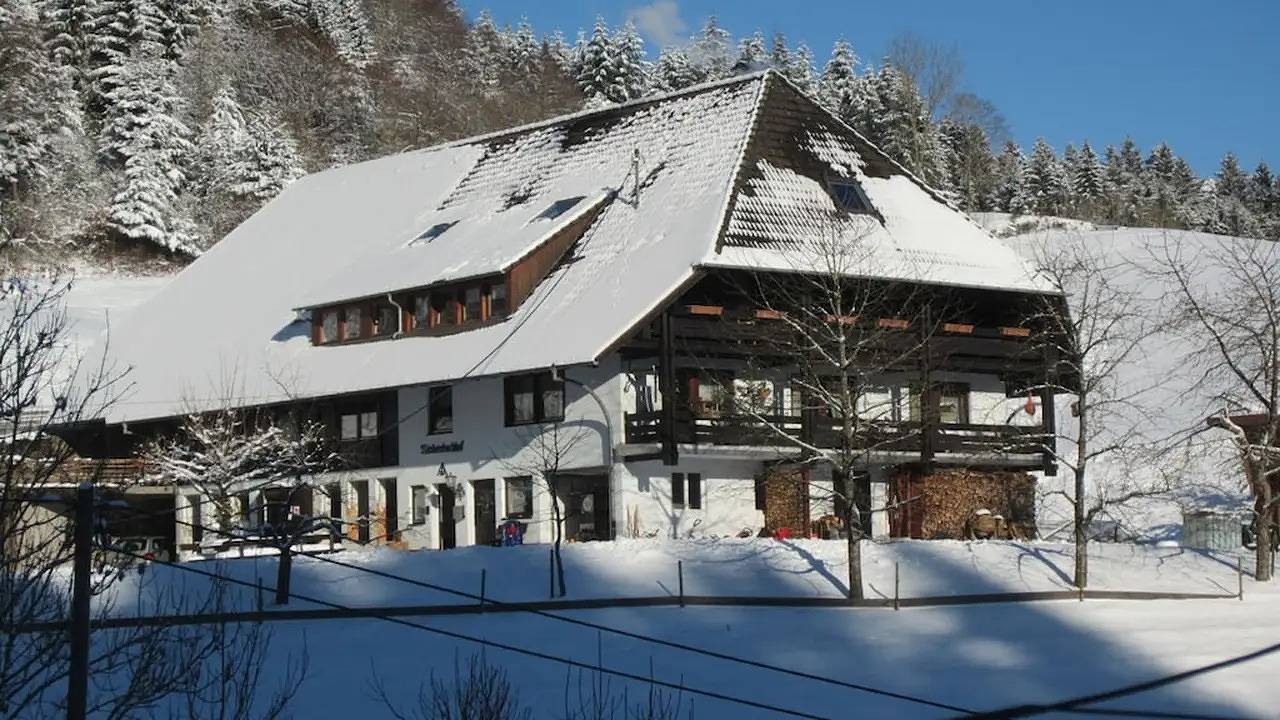 Ferienhaus für 4 Personen (92 m²) in Schenkenzell in Schenkenzell, Kinzigtal