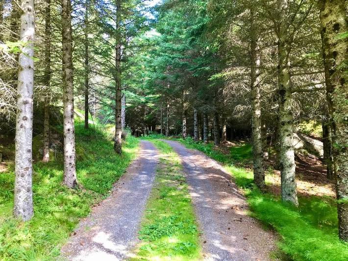 Chalet für 8 Personen, mit Garten und Sauna sowie Ausblick und Seeblick auf den Lofoten - 2