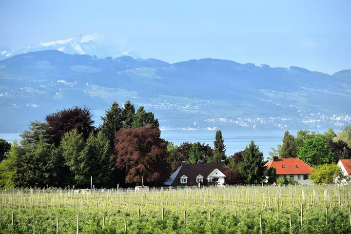 Ganze Wohnung, Apartment „Dinkelbach Traumblick 3 D“ mit Seeblick, Balkon und Wlan in Wasserburg (Bodensee), Bayerisch Schwaben