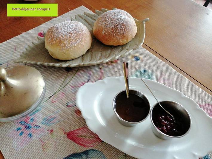 Chambre d’hôte pour 4 personnes, avec vue et jardin dans Hautes-Alpe - 2